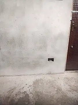 Snapshot of Priya-bhabi012 chatting on 25, 2, 2026 Priya-bhabi012 online show from 25, 2, 2026