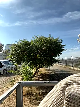 Snapshot of SandraCarter chatting on 18, 9, 2025 SandraCarter online show from 18, 9, 2025