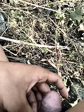 royalrohan3245 online show from 20, 11, 2025