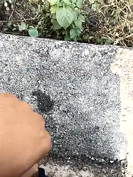 royalrohan3245 online show from 21, 11, 2025