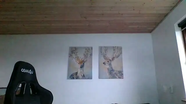 Gotta1 online show from 19, 1, 2025