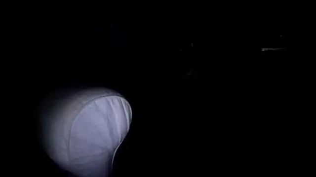 Snapshot of byakkotorra chatting on 5, 3, 2025 byakkotorra online show from 5, 3, 2025