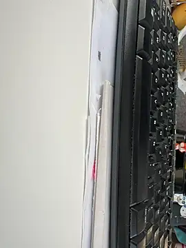 Snapshot of byakkotorra chatting on 6, 3, 2025 byakkotorra online show from 6, 3, 2025