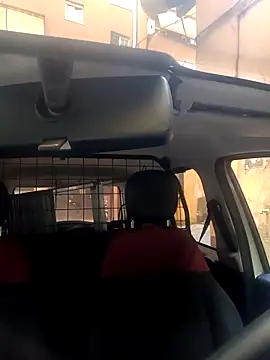 Porco81cazzo online show from 29, 11, 2025