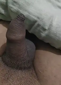 iaparna online show from 29, 12, 2024