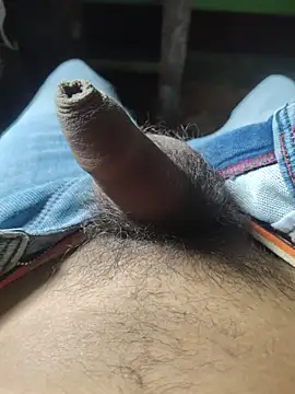 iaparna online show from 6, 11, 2025