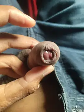 iaparna online show from 17, 11, 2025