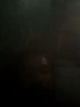 taylorWiiz online show from 16, 10, 2025