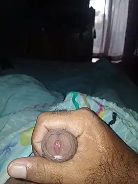 taylorWiiz online show from 3, 3, 2026