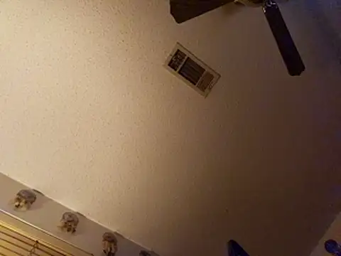 coolbrease10 online show from 19, 3, 2026