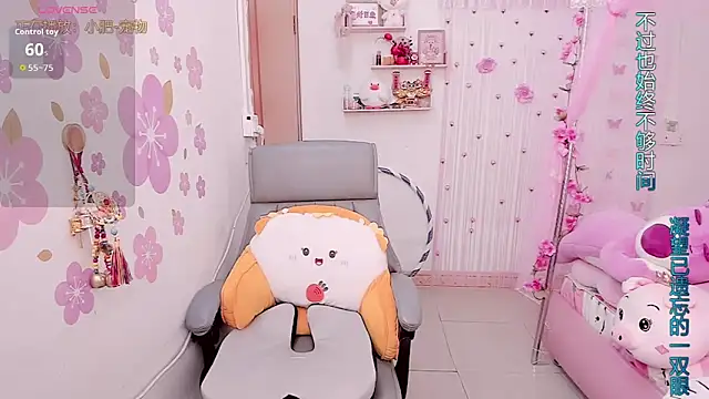 Stylec66 online show from 8, 2, 2026