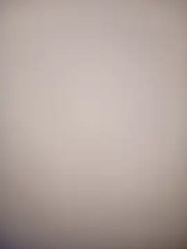 bustybillies online show from 18, 2, 2026