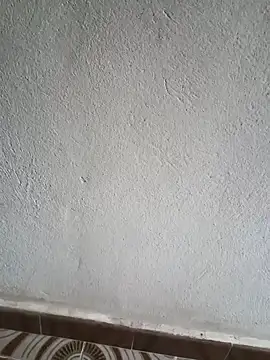 El baby12 online show from 24, 9, 2025