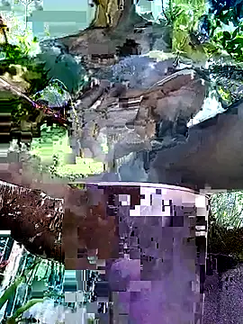 gwadaa9 online show from 22, 12, 2025