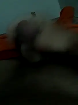 lm279 online show from 22, 11, 2025