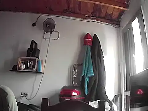 Lolosalvage83 online show from 1, 1, 2025