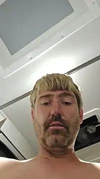 Cobra500hp online show from 25, 10, 2025