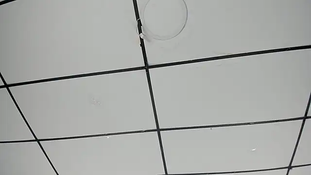 Sophia Lemos online show from 18, 10, 2025