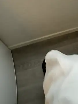 YoungCouple0604 online show from 18, 1, 2026