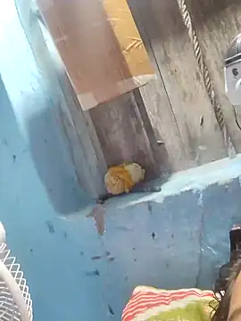 Snapshot of Natasha-In69 chatting on 31, 1, 2025 Natasha-In69 online show from 31, 1, 2025