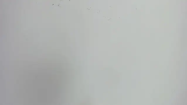 missexy303av online show from 24, 9, 2025