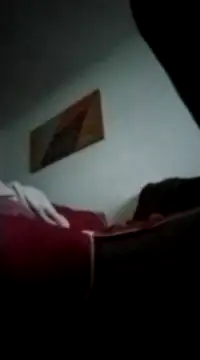 fogoda online show from 28, 1, 2025