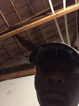 thekidrose online show from 2, 12, 2025