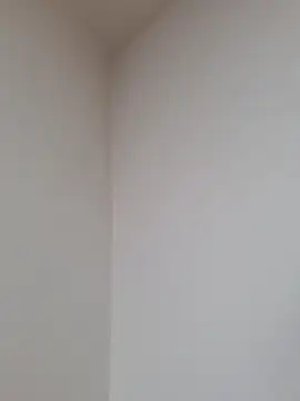 D vid99 online show from 12, 11, 2025