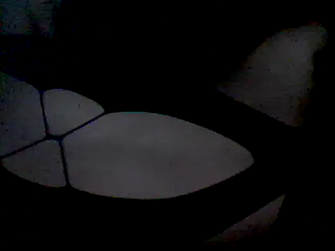 luniaitaliax3 online show from 7, 1, 2025