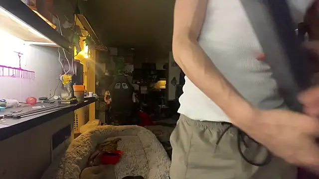 deadpi online show from 21, 4, 2026