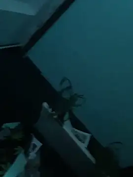 big cock is back online show from 29, 12, 2024