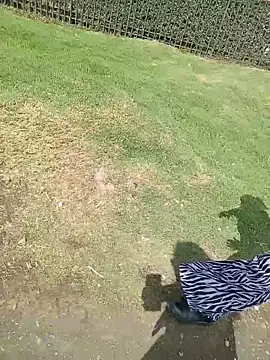 sophie banger online show from 11, 3, 2026