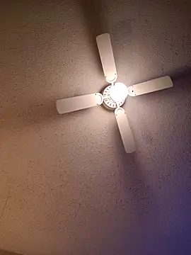 big8dall online show from 12, 4, 2026