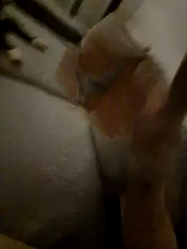 Bretoncool online show from 4, 4, 2026