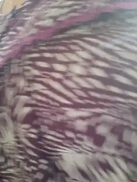 samitasharma online show from 14, 11, 2025