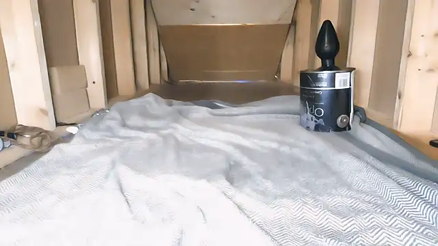 cbtbetaloser online show from 8, 11, 2025