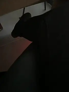 homidor online show from 20, 12, 2024