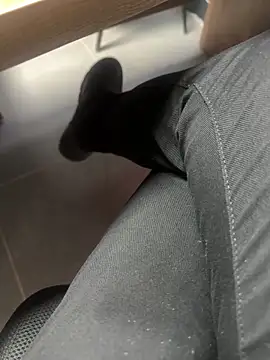 homidor online show from 14, 1, 2025