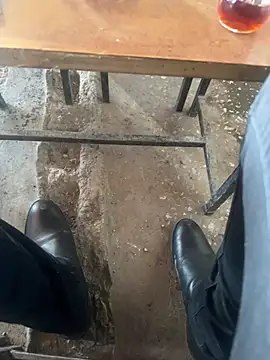 homidor online show from 16, 3, 2025