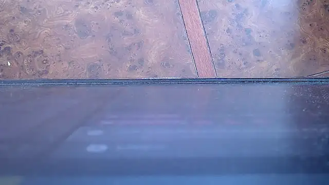 SusanLeroy online show from 12, 11, 2025