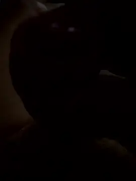 Snapshot of rusken123 chatting on 15, 1, 2026 rusken123 online show from 15, 1, 2026