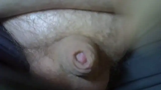 serbes ur online show from 2, 11, 2025