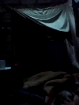 January256 online show from 2, 3, 2026