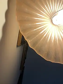 4n4l1zz4m1 online show from 5, 2, 2026