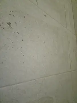 seloloko20 online show from 19, 9, 2025