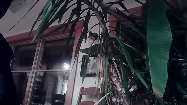 KittingGrappler online show from 15, 11, 2025