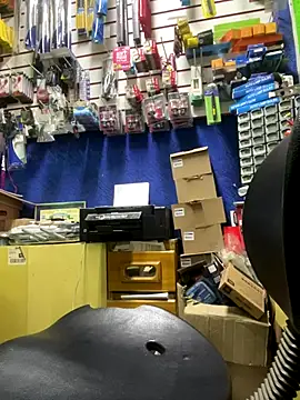 Sheik z o online show from 6, 10, 2025