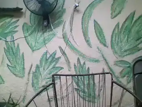 friendsloversex online show from 21, 3, 2025