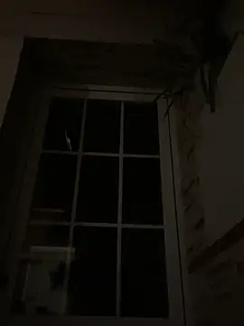 Imperial 10 online show from 6, 12, 2024