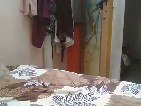 G N R online show from 11, 10, 2025